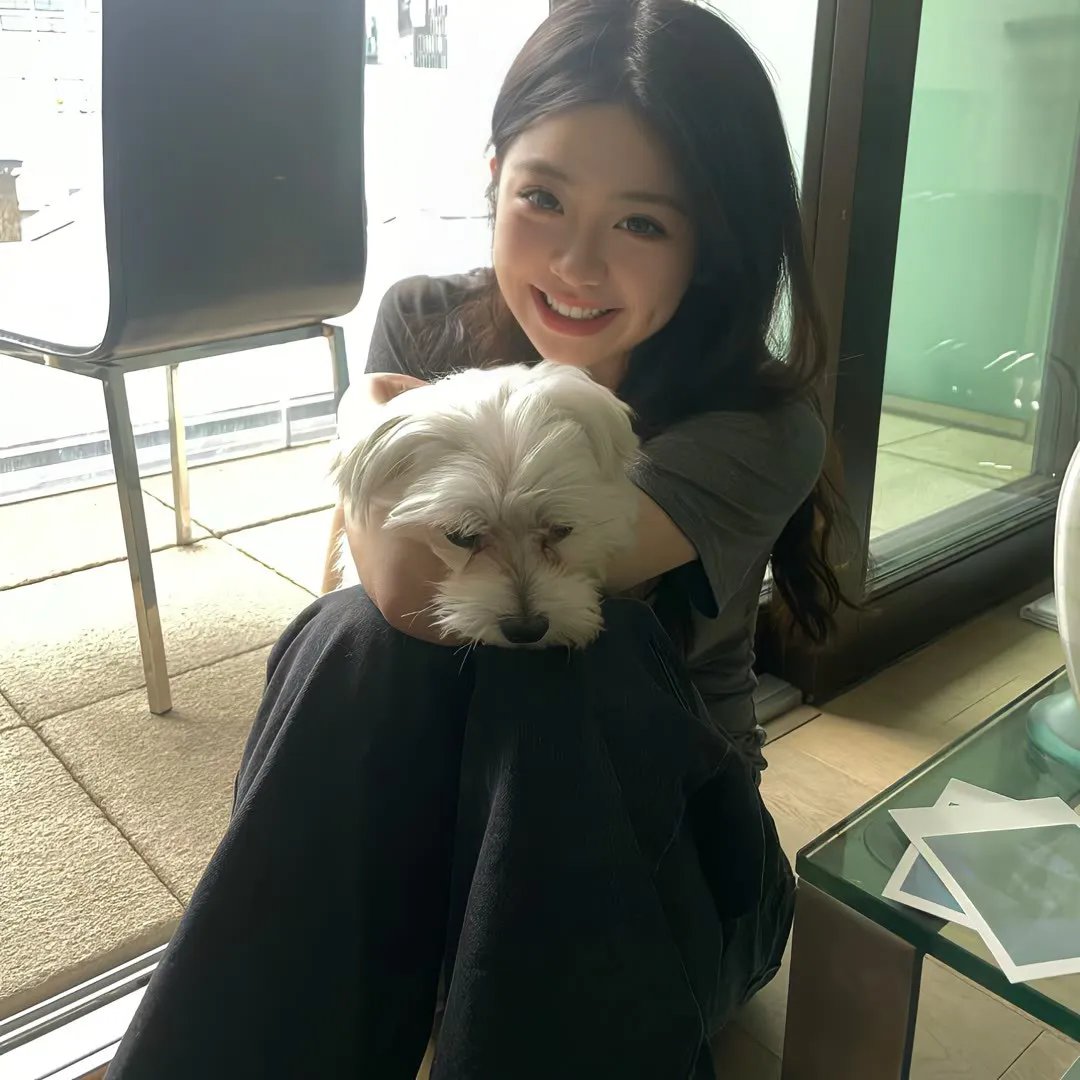 3月的狮子